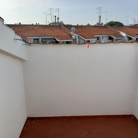 Apartmán Roma A Un Passo E Il Mare In Casa Marina di Cerveteri Exteriér fotografie