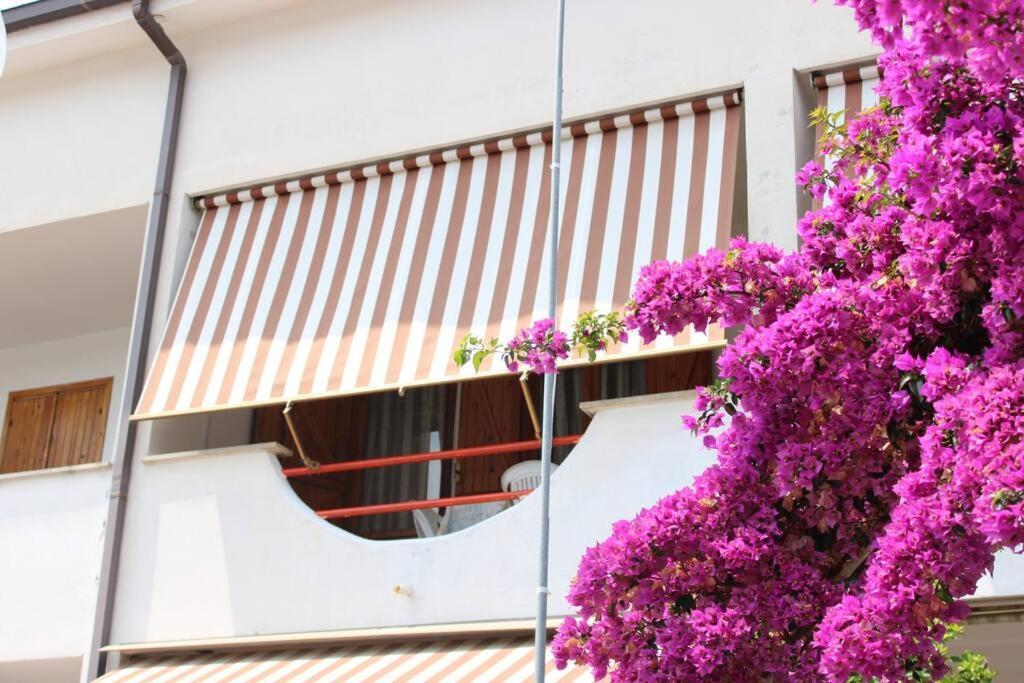 Apartmán Roma A Un Passo E Il Mare In Casa Marina di Cerveteri Exteriér fotografie