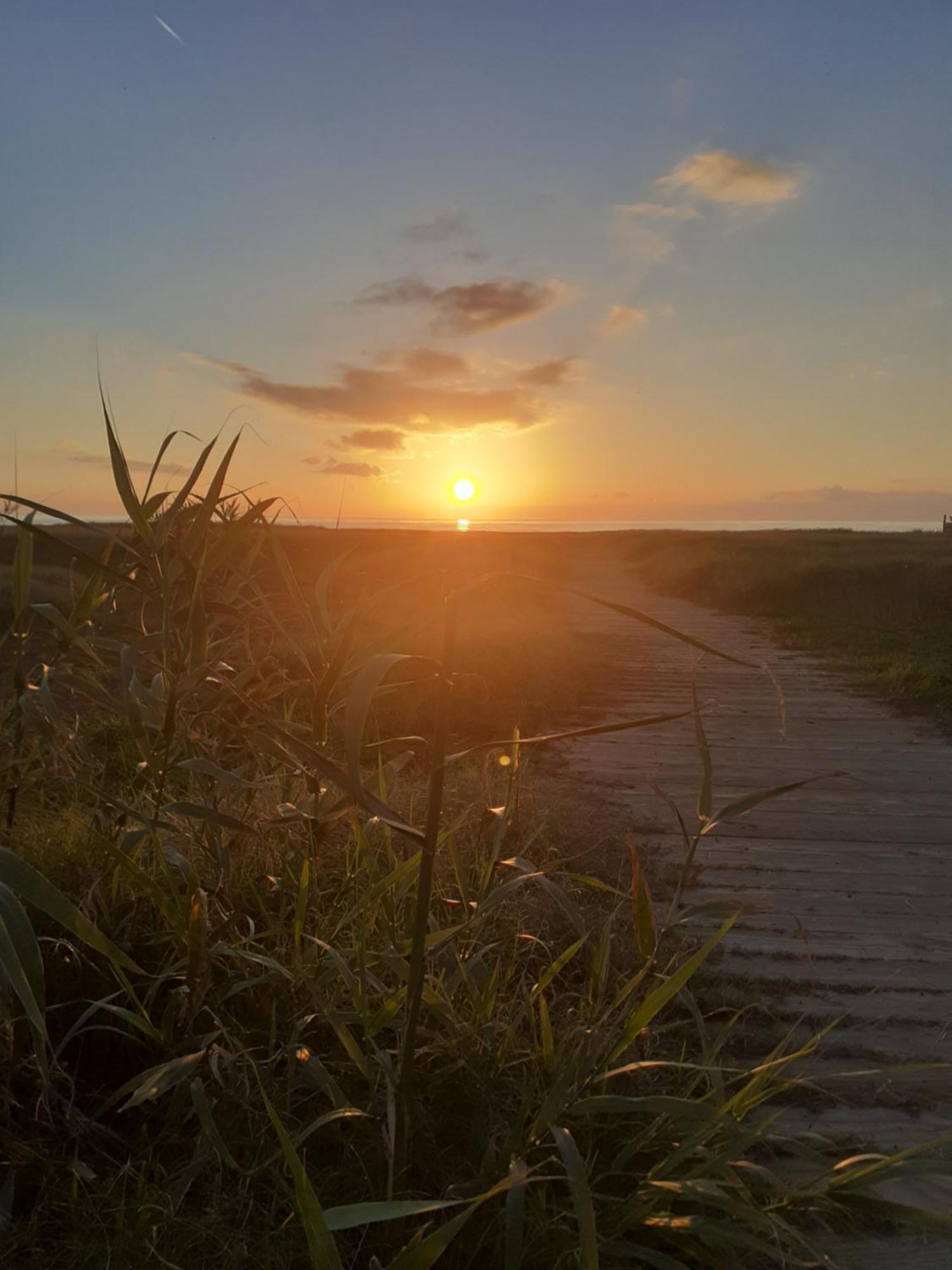 Apartmán Roma A Un Passo E Il Mare In Casa Marina di Cerveteri Exteriér fotografie